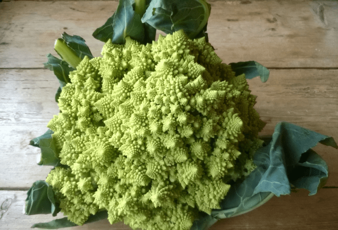 romanesco