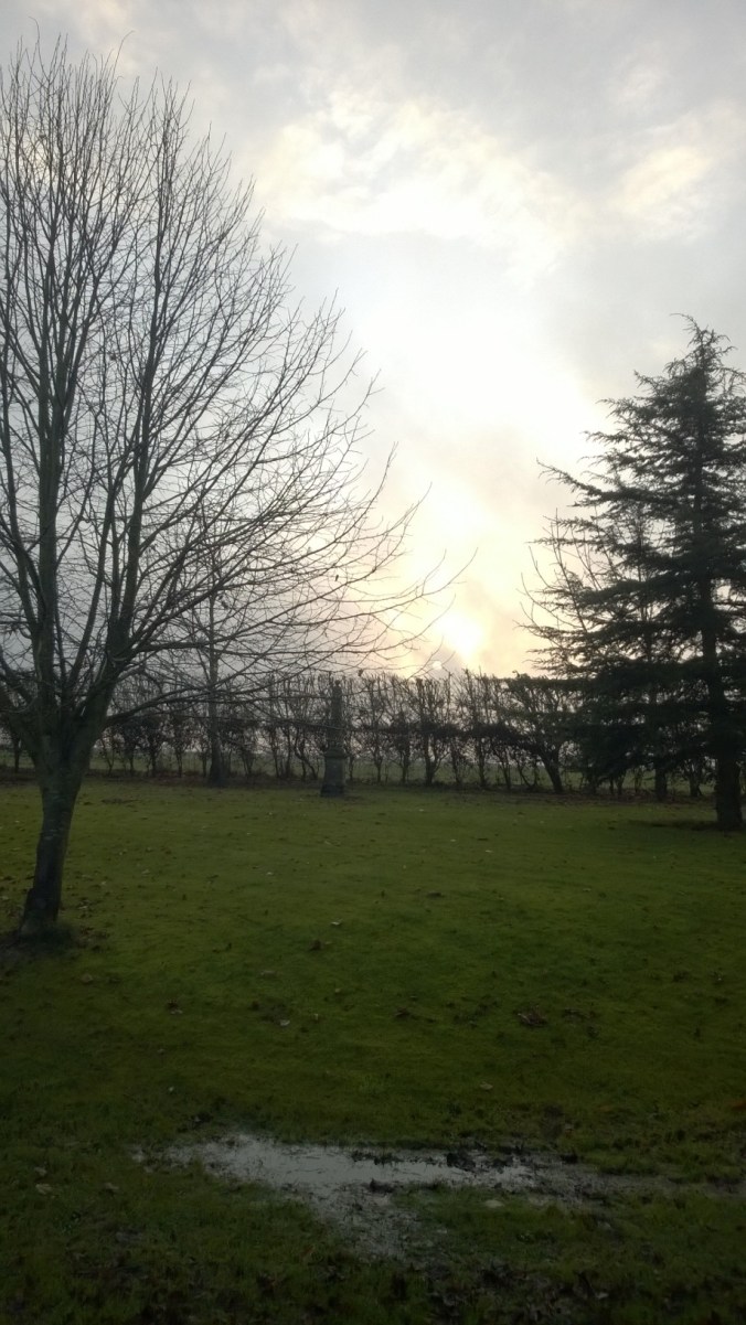 WP_20141127_08_32_07_Pro