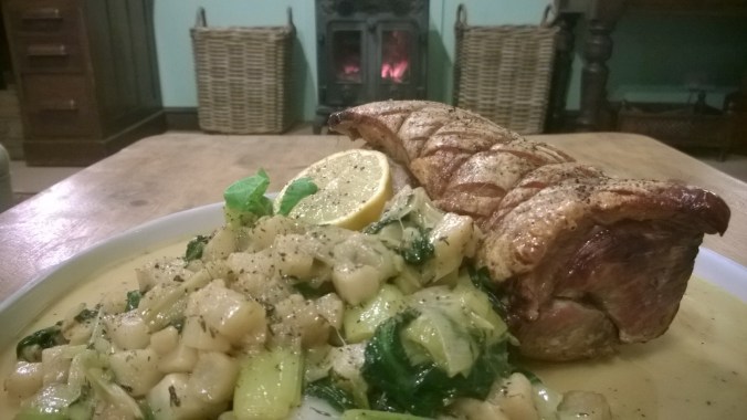 WP_20150108_20_36_41_Pro