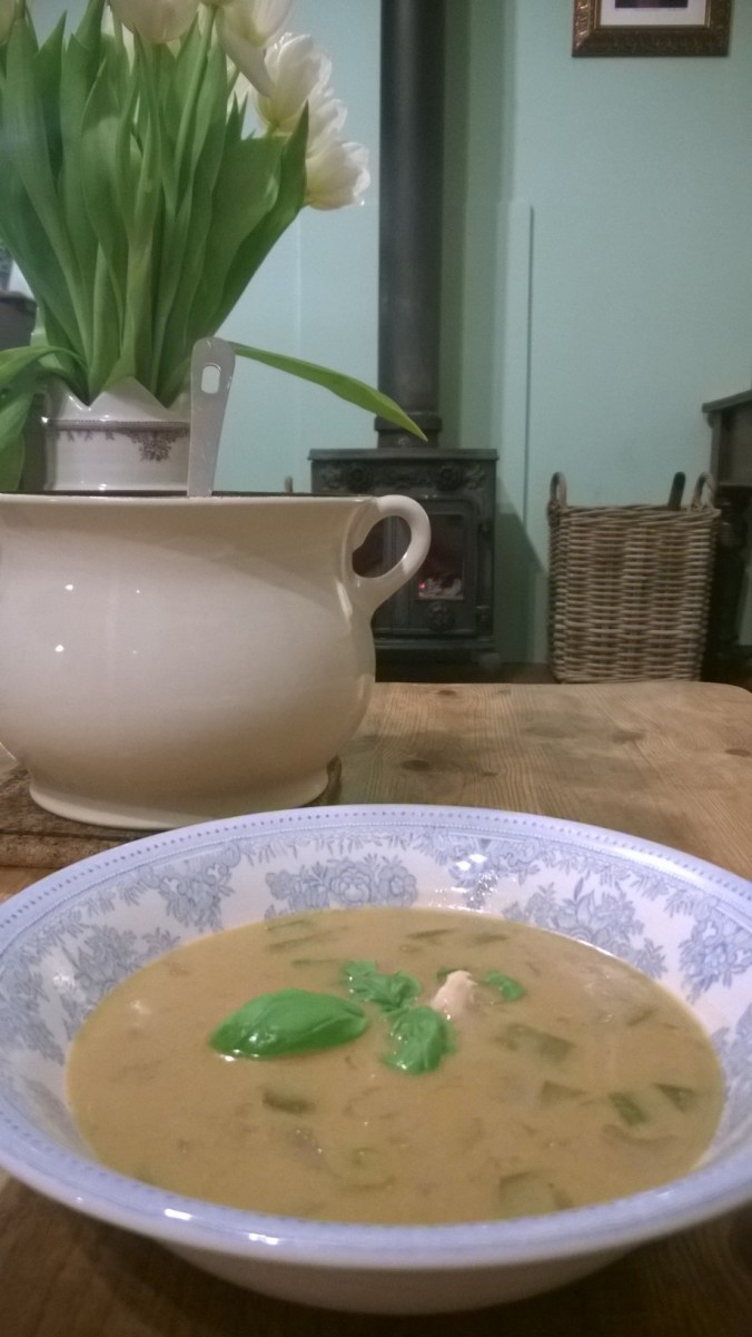 WP_20150121_19_52_00_Pro