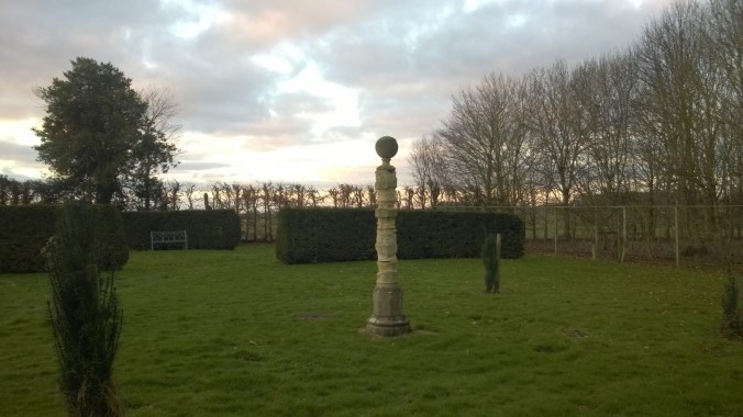 WP_20150206_07_50_39_Pro