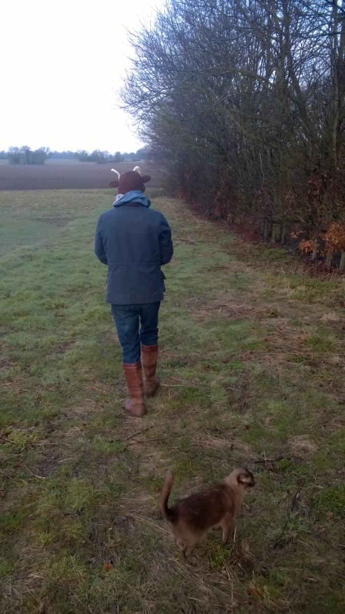 WP_20150220_07_47_59_Pro